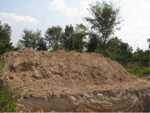 A replica of Giri Govardhan