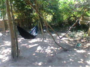 Nice rest under the trees 