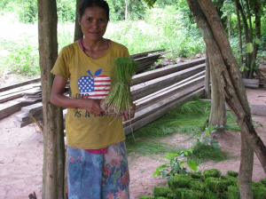 Nursery for wet rice field 