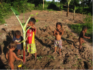 childrens playing in the field