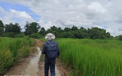 City Lockdown versus Cambodian Village Farm Projects